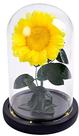 Eternal Sunflowers Preserved Sun Flowers LED Flower Lamp in Glass Dome Home Decoration Gift for Anniversary Birthday Christmas 1PCS Yellow (Size : with LED Light) (Without LED Light) Eternal rose (