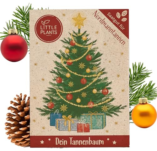 Little Plants Christbaum 2029, Nordmanntanne Pflanzen Samen, zum Weihnachtsbaum pflanzen, Tannenbaum Samen ideal als Geschenk, Wichtelgeschenk | Christbaum zum selbst pflanzen