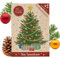Little Plants Christbaum 2029, Nordmanntanne Pflanzen Samen, zum Weihnachtsbaum pflanzen, Tannenbaum Samen ideal als Geschenk, Wichtelgeschenk | Christbaum zum selbst pflanzen