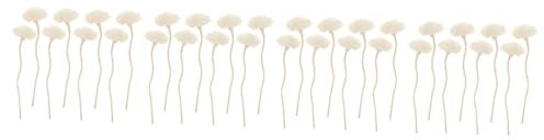 DECHOUS 32stücke Aromatherapie Rattan Sticks Duftstäbchen Für Diffuser Blumen-Design Für Zuhause Schnell Absorbierend Natürliche Düfte Schaffen Entspannende Atmosphäre