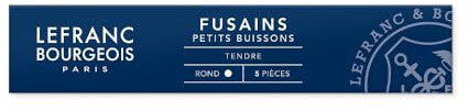 Lefranc Bourgeois Etui 5 Fusains Petit Buisson