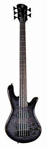 Spector Legend 5 Guitare basse personnalisée (5 cordes, gris ardoise)
