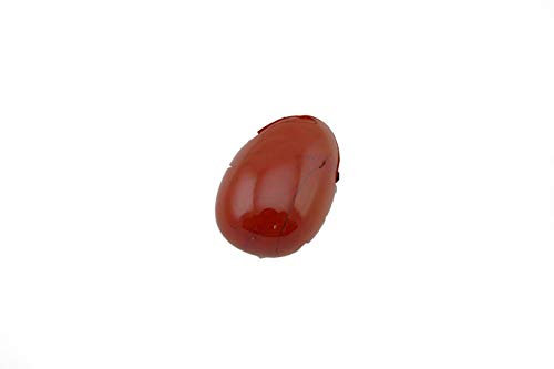 Deutsches Mineralienmuseum Sternzeichenkette, Gebohrter Jaspis Anhänger, Glücksstein für Widder, Unisex, Kette, Astrologie-Enthusiasten