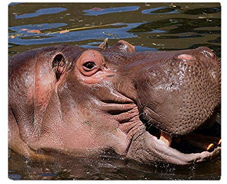YISUMEI Decke Glückliches Flusspferd Kuscheldecken Weich Flanell Fleecedecke Bettüberwurf(150x200cm)