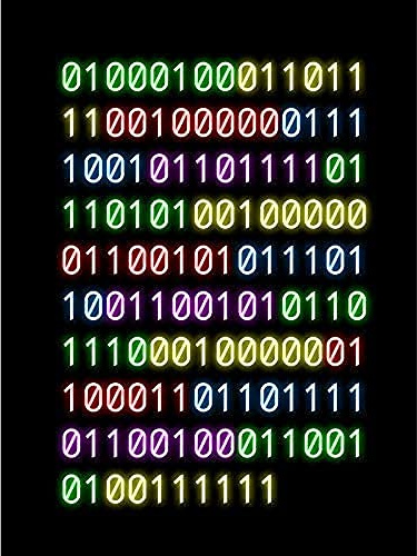 Artery8 Binary Do You Even Code Neon Geek Nerd Humour Quote Art Print Canvas Premium Wall Decor Poster Mural Zitat Wand Deko