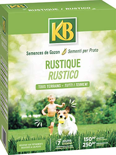KB KRUST150 - Semences de Gazon Rustique 150m² - Résiste aux piétinements - Germination en 7 jours - 3,75 KG