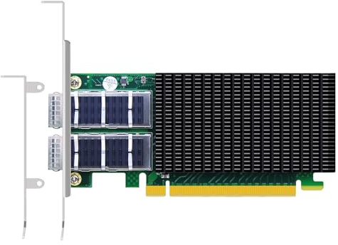 GLOTRENDS ST7338 2-Port 100 Gb QSFP28 Ethernet-Netzwerkkarte mit Mellanox ConnectX-5-Controller, PCIe 3.0 X16-Schnittstelle, RDMA (RoCE), Nicht Infiniband