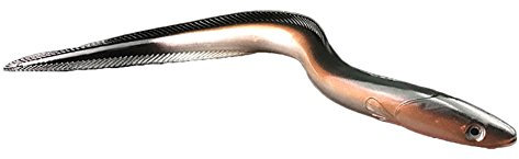 dragonaur Natur Weich Aal Reflektierender Soft-Lure Angelköder, 1 Stück