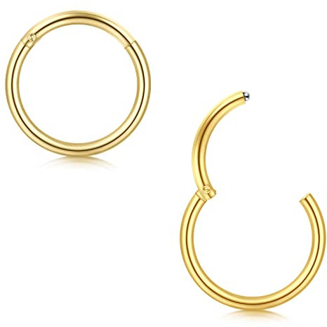 Briana Williams 2pcs Hinged Nose Hoop Lip Helix Septum Tragus Helix Rook Earrings Ring Clicker Segment Gold Piercing 20G 6mm