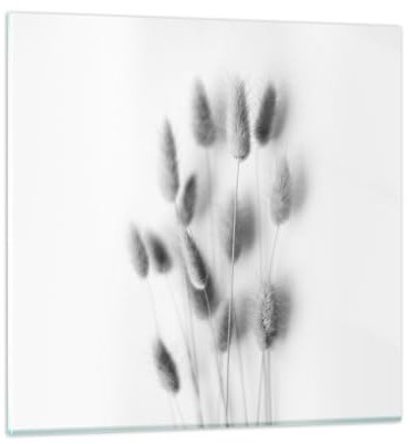 ARTTOR Glasbild 40x40cm Wandbild Glasdruck Botanik Schwarz-Weiß - 5401