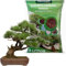 Sustrato Bonsai Tierra para Plantas| Compuesto por turba Rubia y Negra, Arena, Grava y abono | Ideal para el Crecimiento Saludable de Tus bonsáis | Pack 5 litros