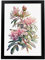Nacnic Rhododendron 1 Poster im nordischen Stil. Botanik Illustrationen mit Blumen und Pflanzen im Wasserfarbe. Innenarchitektur und Dekoration. A4 schwarzen Rahmen.