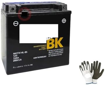 Kompatibel mit Royal Enfield Continental GT E3/E4 535 von 2018 bis 2019, Batterie YTX14-BS, bereits einsatzbereit für Batterien 12 Ah, Ampere 12 Volt, 150 x 87 x 145 mm AGM