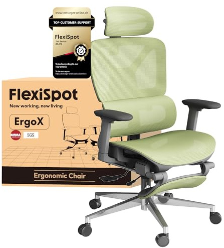 FLEXISPOT ErgoX Ergonomic Office Chair with Footrest for Home Office, Desk Chair with 3D Armrests, 3D Headrest, 5D Adjustable Backrest, Breathable Seat, Maximum Load 136 kg,Mesh Office Chair,Green
