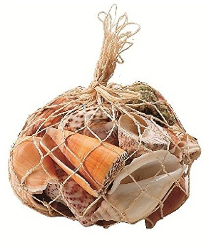 Assorted Seashells 300g Bag Nautical Sea Shell Seaside Decor Shabby Chic approximately 35 shells