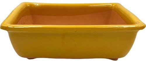 FRANCACOR Maceta TERRINA Bonsai Barro ESMALTADO Colores (21.5 X 14.5 X 7 CMS, Amarillo)