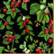 20 Servietten Rote Gartenfrüchte | Erdbeeren | Kirschen | Beeren | Obst | Früchte | Tischdeko | Decoupage | Serviettentechnik 33x33cm