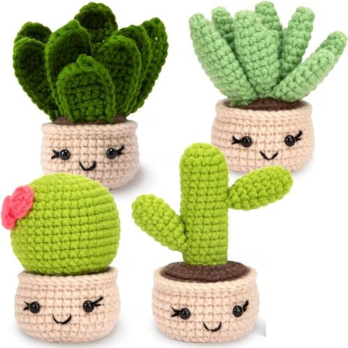iFutniew Sukkulenten-Häkelset, Häkelset für Anfänger, Anfänger, Häkelset mit einfachem Garn, 4 Stück