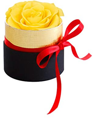 Mini Scatola Regalo Rosa eterna,Rose Stabilizzate Fatte a Mano,Regalo di San Valentino,Regali per la mamma,Rosa Eterna,Fiore Mai Appassito,Rosa Stabilizzata,Ragazze Regali di nozze,Un regalo per lei