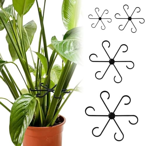 Lot de 4 supports pour plantes - Noir - Supports de jardin pour Alocasia et Monstera - Anneaux pour plantes, fleurs, hortensias, roses, tomates