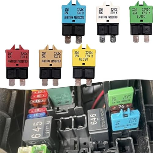 WheatThrive Lot de 6 fusibles à lame de disjoncteur à réinitialisation automatique 5 A-30 A pour systèmes audio de bateau, camping-car, camion, voiture