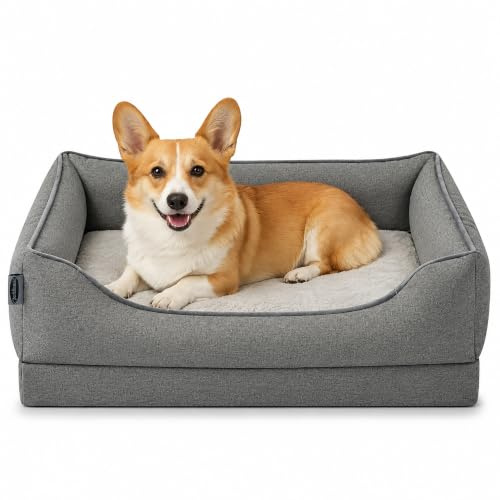 Zedelmaier orthopädisches Hundebett für kleine Hunde, M, 76×56cm, Grau | Hundekörbchen waschbar, Bezug abnehmbar, extradicke Matratze, hoher kratzfester Rand, Hundekorb oben und seitlich wasserdicht