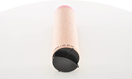 BOSCH F 026 400 239 Sekundärluftfilter 0007521990 02250164533 055135R1
