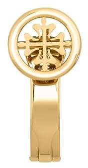 EAMOM Für Patek Philippe Armband für Nautilus Armband 5711/5712 Original Schnittstelle Armband Zubehör FKM Fluororubber Uhrenarmbänder Gold End Link (Color : Buckle 3, Size : 25-12)