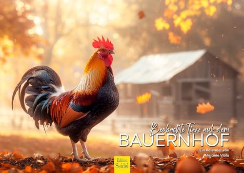 Edition Seidel Premium Kalender Bauernhof 2025 Format DIN A3 Wandkalender Tierkalender heimische Tiere Bauer Bäuerin Kuh Huhn Pferd Schwein Esel Melanie Viola