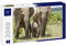 Lais Puzzle Elefantenfamilie 2000 Teile