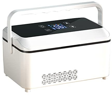 Nevera para Coche, Enfriador de Insulina, Emergencia, Mini 2-8 °C, Nevera Médica, Caja de Refrigeración para Medicamentos para el Hogar, Nevera Portátil para Medicamentos, Funda para Diabéticos