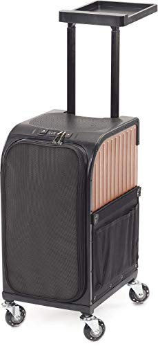 Sibel Rollercoaster Stoolcase Rollhocker - Koffer/Rosa Gold