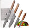 zayiko Kinone Premium 4er Damastmesser-Set mit 8-20 cm Klinge gefertigt aus 67 Lagen echtem Damaststahl mit Wurzelholzgriff Birke I Damastmesser Küchenmesser und Profi Kochmesser