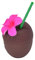Z&H COCO 700ml - Vaso para beber, Taza de coco para piscina/playa, Vaso de plástico, Tapa, Base y Pajita.