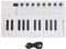 Tragbarer 25-Tasten-MIDI-Keyboard-Controller mit BT-Wireless-USB-Stromversorgung für Musikproduktionsübungen