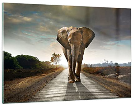 Wandbilder Dekoration Wohnzimmer Elefant Straße Landschaft Bilder auf Glas 120x80cm Glasbild Schlafzimmer Küche Deko Wand Kunstdruck Art Groß XXL Wanddeko Bild im Glas Modern Wall Decor GAA120x80-0214