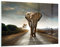 Wandbilder Dekoration Wohnzimmer Elefant Straße Landschaft Bilder auf Glas 120x80cm Glasbild Schlafzimmer Küche Deko Wand Kunstdruck Art Groß XXL Wanddeko Bild im Glas Modern Wall Decor GAA120x80-0214