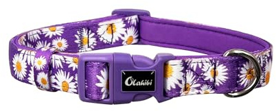 Olahibi Basic Dog Collar, Polyester Webbing Padded with Soft Neoprene, Daisy Pattern, for Medium Dogs.(M, Purple Daisy)