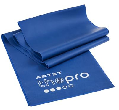 ARTZT thepro Fitness Band | Terrabänder Set 2m | Gymnastikband | Fitnessband aus Naturkautschuk | Stretchband | Gummiband Fitness | Trainingsbänder Krafttraining, Therapie, Reha, Sport (Blau)