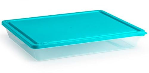 Tradineur - Pack de 4 bandejas frigoríficas de Almacenamiento con Tapa, plástico, Reutilizable, Guardar Alimentos, Fabricado en España - 26,5 x 22,5 x 4,5 cm - Tapa Color Aleatorio
