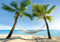 ARTBAY Traum Strand Poster XXL, Kunstdruck - 118,8 x 84 cm | Urlaubsfeeling für zu Hause und fürs Büro | Palmen | Traumstrand | Karibik | Hängematte | Meer | Wandposter, Fotoposter, Wandgestaltung