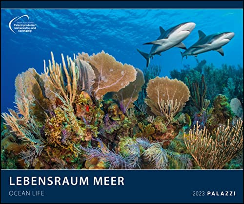Lebensraum Meer 2023 - Bild-Kalender - Poster-Kalender - 60x50: Ocean Life