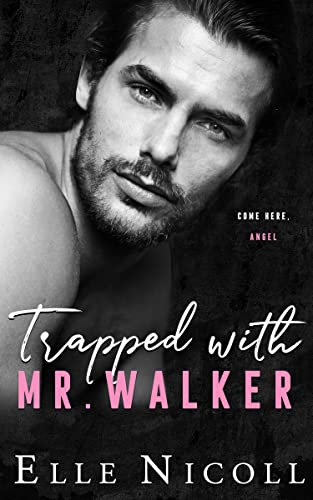Trapped with Mr. Walker: A fake dating steamy romance (The Men Series - Interconnected Standalone Romances Book 6)