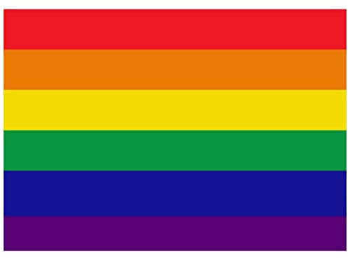 Samunshi® Regenbogenfahne Aufkleber - Peace Pride LGBTQ - Sticker Auto Fahrrad Motorrad - 8x5,6cm mehrfarbig