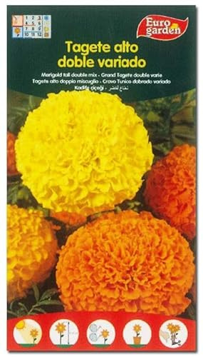 Semillas finstock fito flores tagete alto variado clavel 00546 (caja 10 unidades)