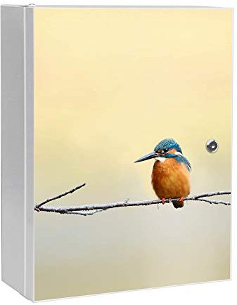 banjado® XXL Medizinschrank abschliessbar mit Motiv Pause 35x46x15cm - großer Arzneischrank/Medikamentenschrank aus Metall zur Medikamenten Aufbewahrung - Apothekerschrank mit 3 Schlüsseln