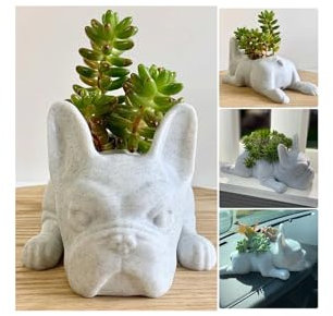 Firally Harz Hund Sukkulente Pflanzgefäße, Nette französische Bulldogss Form Bonsai Blumentöpfe Aufbewahrungsbehälter für Büro Desktop Home Decor Garten Balkon Dekor