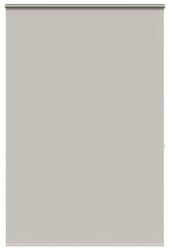 vidaXL Estor Enrollable para Ducha Casete Tela 150x240 cm Ancho 146 cm, persiana para Ducha, Cortina Enrollable para Ducha, persiana Enrollable para Ducha