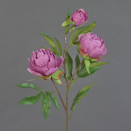 artplants.de Künstlicher Zweig Pfingstrose MANJA, Altrosa-pink, 70cm, Ø8-10cm - Künstlicher Deko Zweig