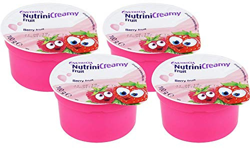 Nutrini Creamy Fruit Beerenfrüchte
